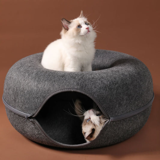 Funny Round Egg-Type Cats House